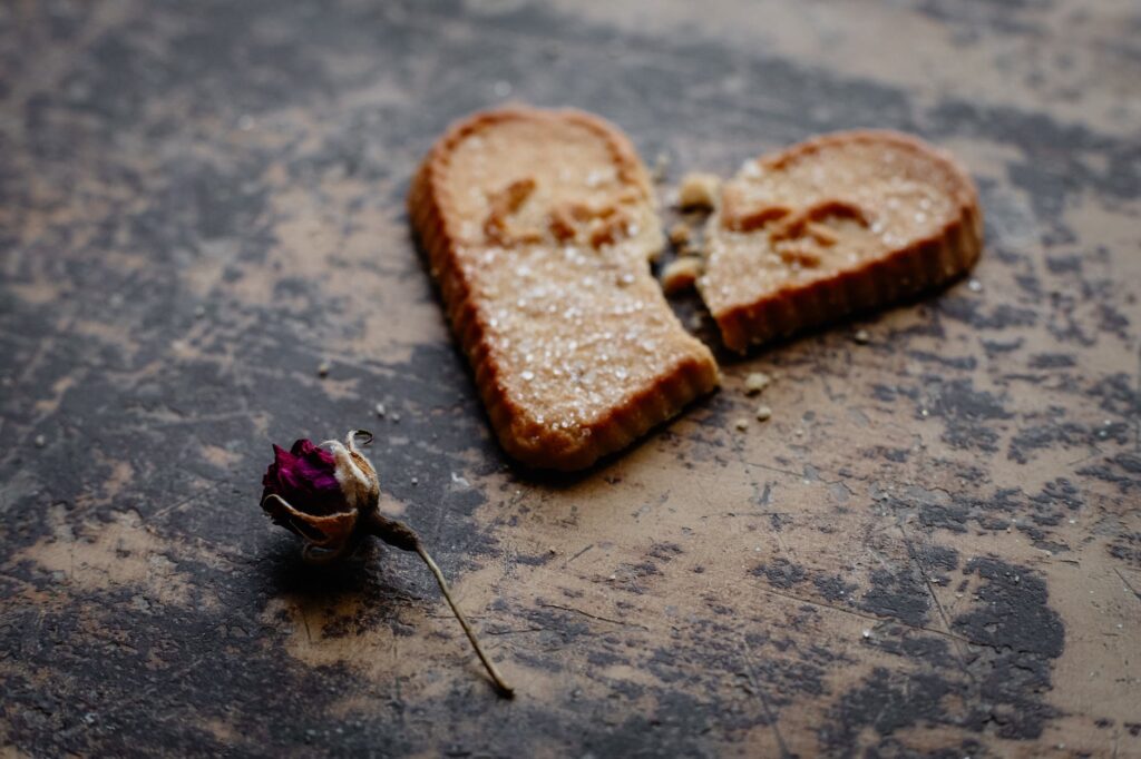 dry rose flower next to broken heart shaped cookie. Effects of heartbreak