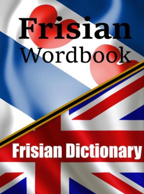 Frisian Wordbook by Auke de Haan is an AI-generated book on Bol.com