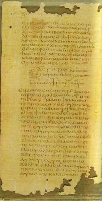 Nag Hammadi Codex VII